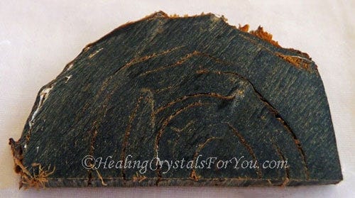 Natural Black Coral Slice