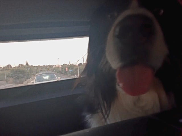 Otto in viaggio verso Locorotondo
