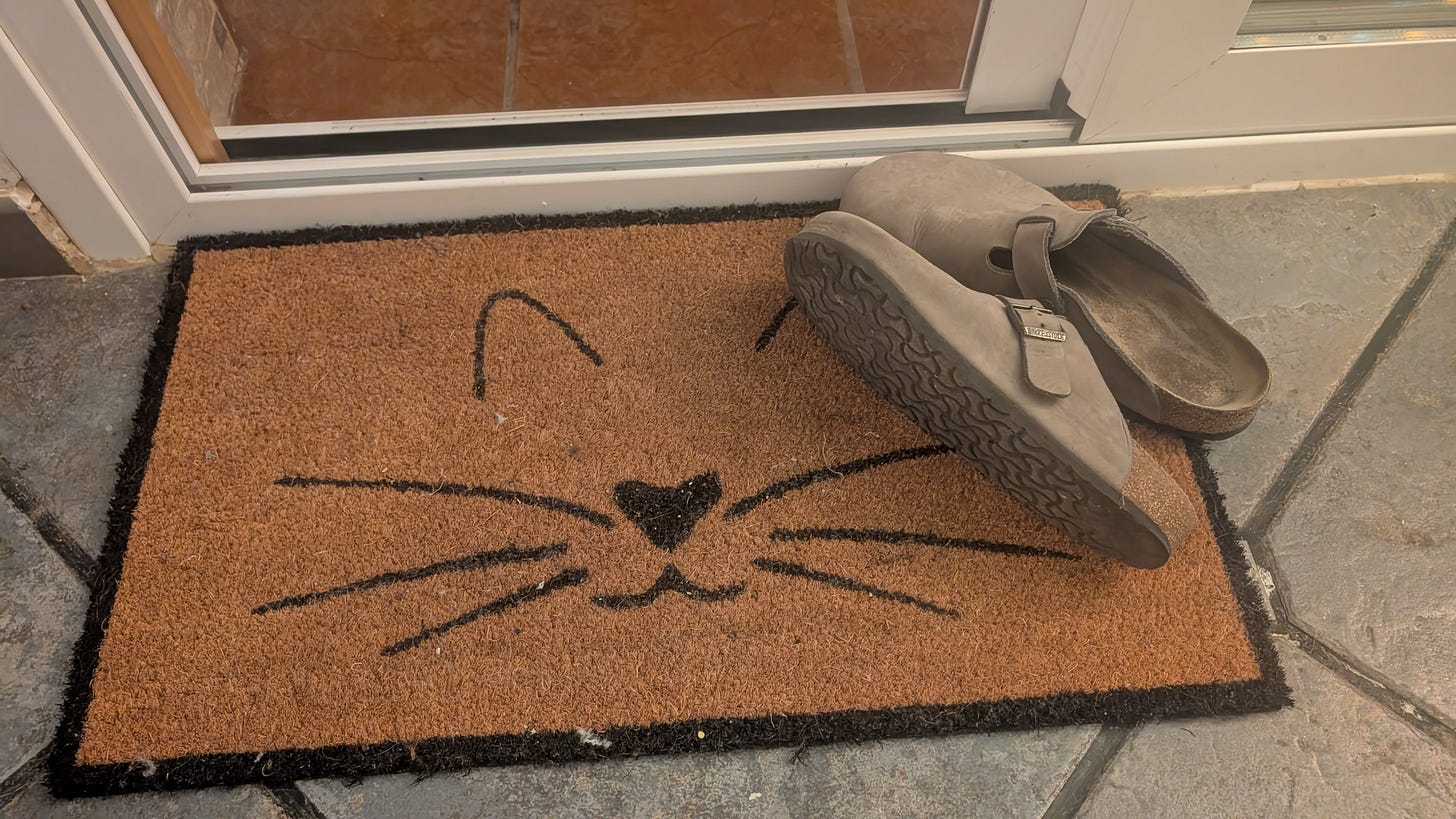 Worn slip-on shoes placed on a brown doormat with a simple cat face design near a doorway.
