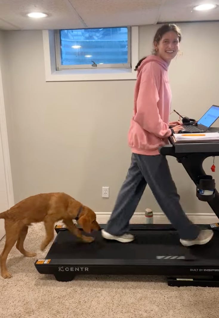 A treadmill desk setup