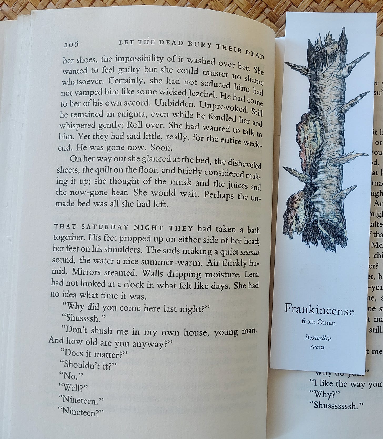 open book with white pages and black lettering on the right side is a vertical bookmark with a painting of a root of frankincense that is mostly brown and grey