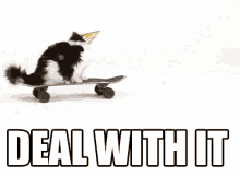 a cat wearing a party hat is riding a skateboard with the words deal with it written below it a cat wearing a party hat is riding a skateboard with the words deal with it written below it