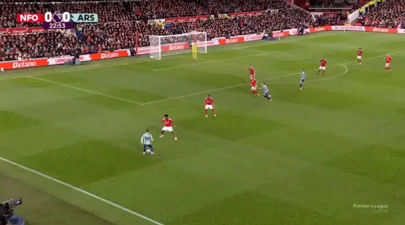 50c999de-a4d1-40d4-ae5d-9baa17a401ae_800