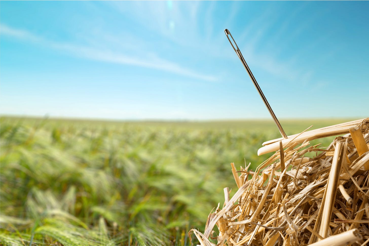 Needle in a haystack