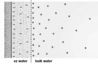 winter2015-pollack-fig1