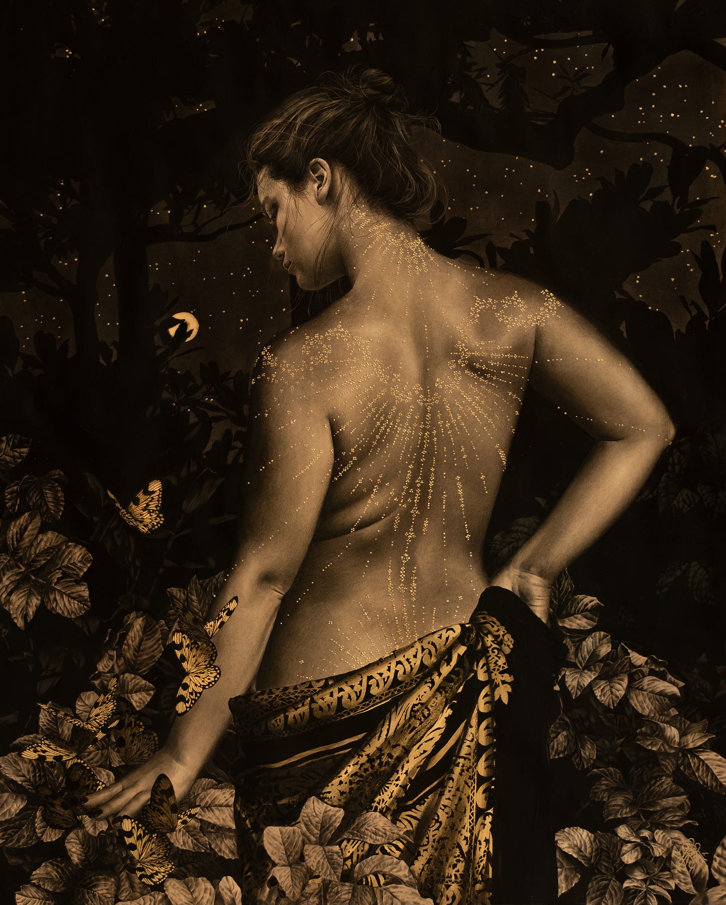 A woman with her back turned toward us, with a loose golden etched fabric across her waist, and flowers and butterflies down by her legs...stars and dark trees and a moon beyond her. Her gaze is pointed down towards the flowers. There are golden etched designs all across her back and space
