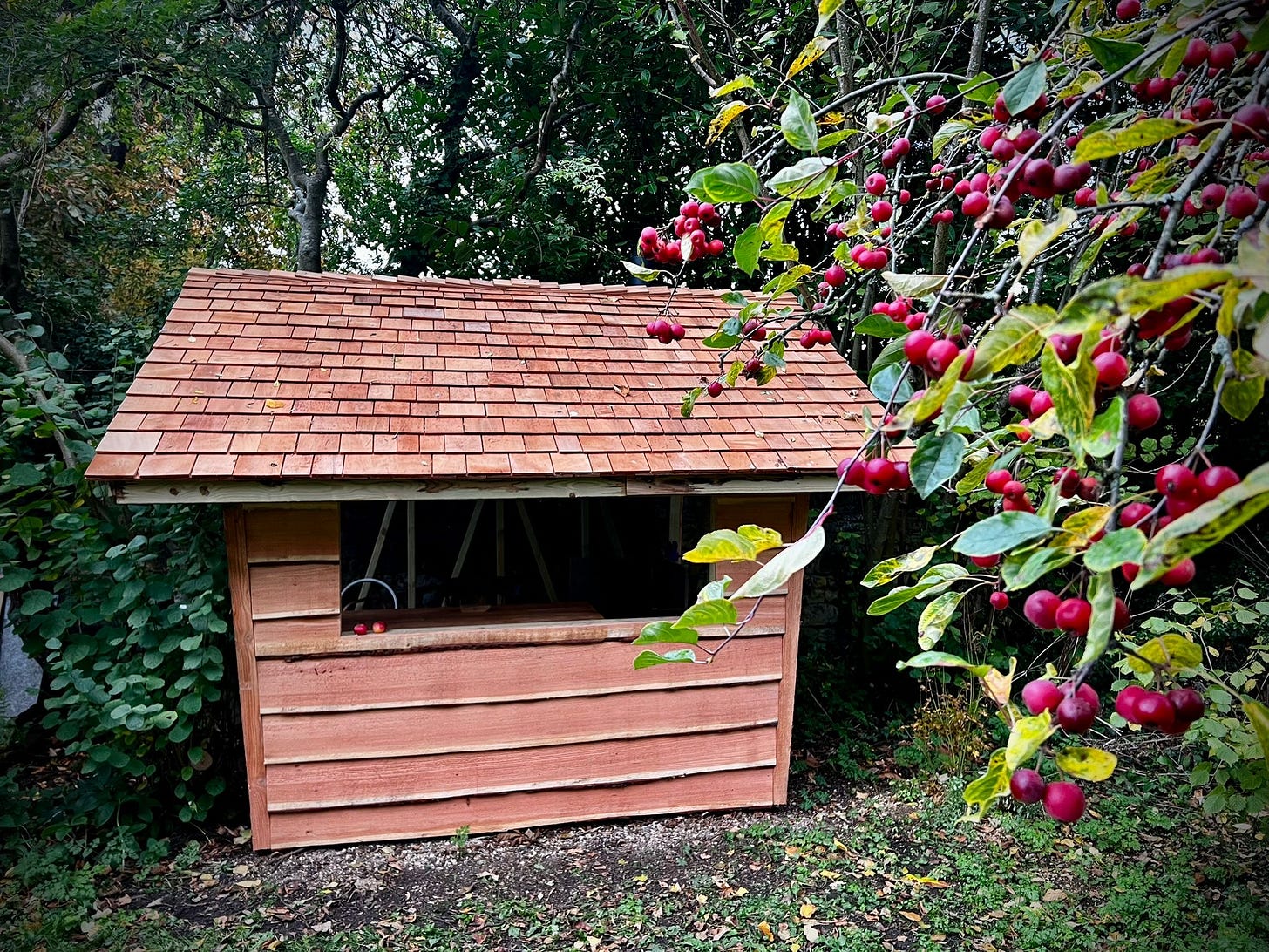An orange-brown hut with horizontal slats and small square roof tiles and a large oblong window; there are small red apples in the foreground and dark foliage behind