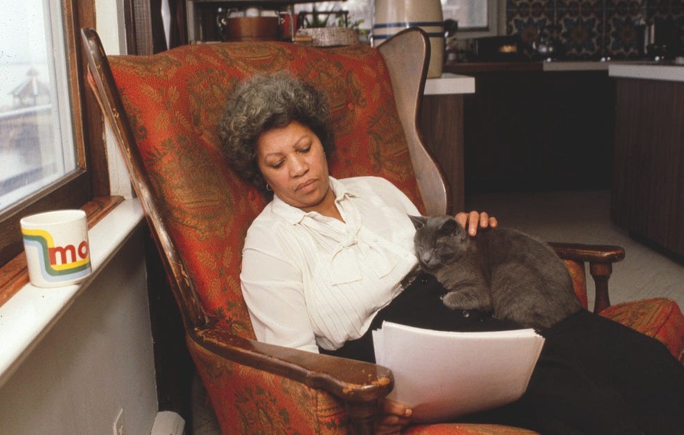 Top Picks: Books Edited by Toni Morrison | Chicago Public Library Top Picks: Books Edited by Toni Morrison | Chicago Public Library