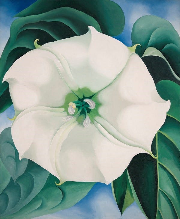 Flower Power: Georgia O'Keeffe's Lasting Impact - Cary Magazine