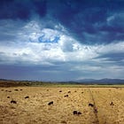 Why I Still Believe In Farming