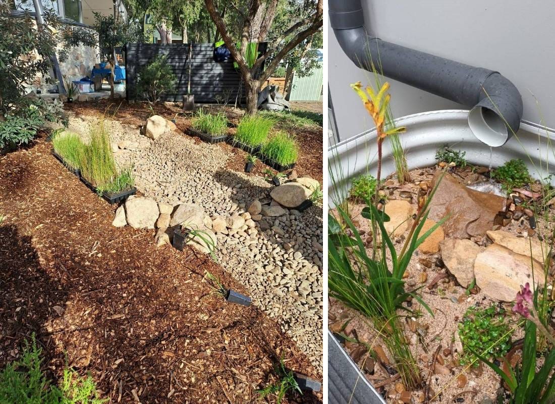 After a week of rain both the large and smaller BMCC rain gardens have performed brilliantly After a week of rain both the large and smaller BMCC rain gardens have performed brilliantly