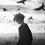 Anime Haven's avatar