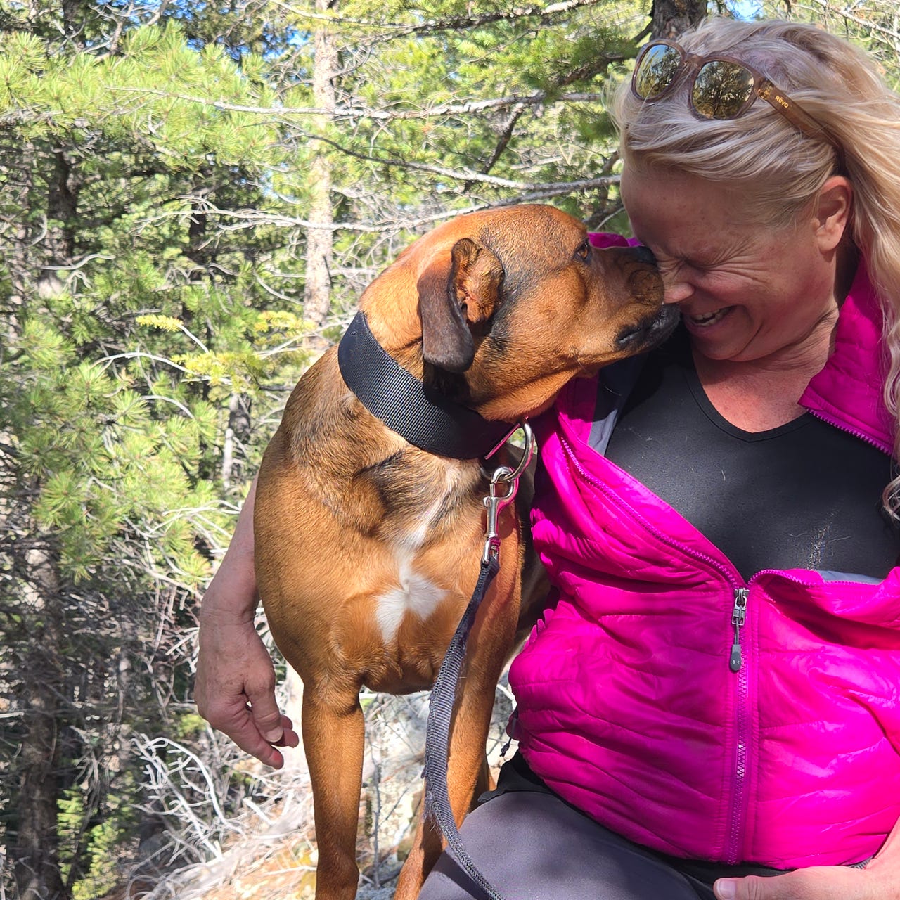 Morning Moments by Bo