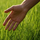Go Touch Grass