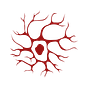 Fifth Brain Collective's avatar