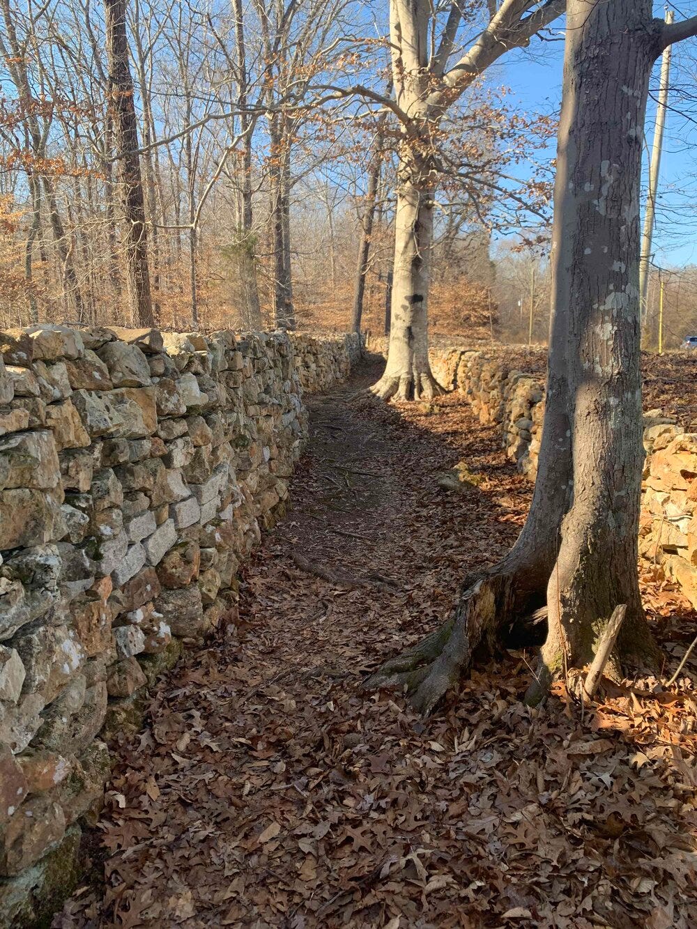 Tom's Wall.jpg Tom's Wall.jpg