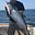 Bill Widing's avatar