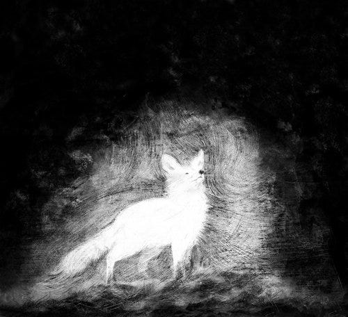 Windswept fox.jpg