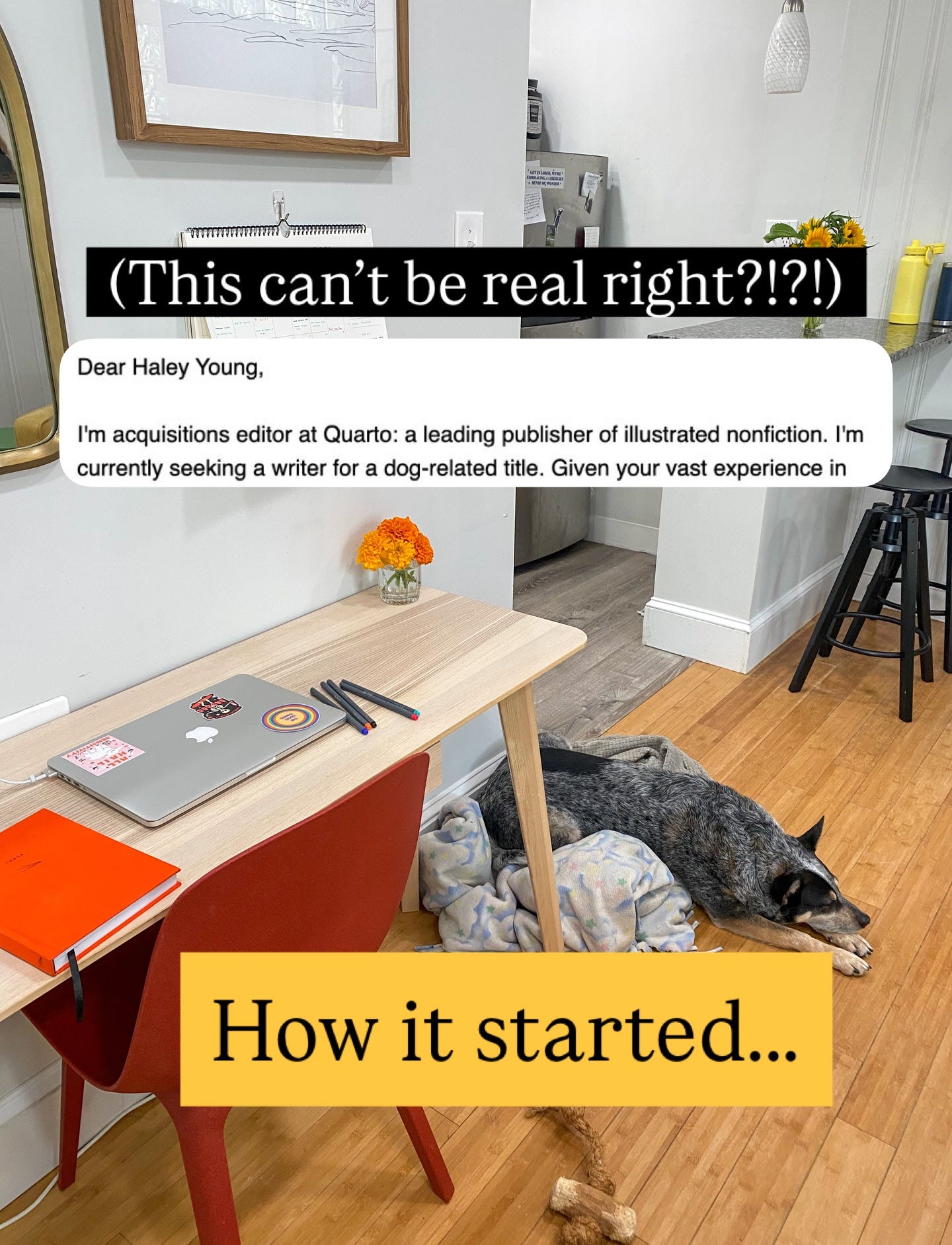 May be an image of text that says '日ぼは ការ Dear Haley Young, (This can't be real right?!?!) I'm acquisitions editor at Quarto: a leading publisher of illustrated nonfiction. I'm currently seeking a writer for a dog-related title. Given your vast experience in O How it started...' May be an image of text that says '日ぼは ការ Dear Haley Young, (This can't be real right?!?!) I'm acquisitions editor at Quarto: a leading publisher of illustrated nonfiction. I'm currently seeking a writer for a dog-related title. Given your vast experience in O How it started...'