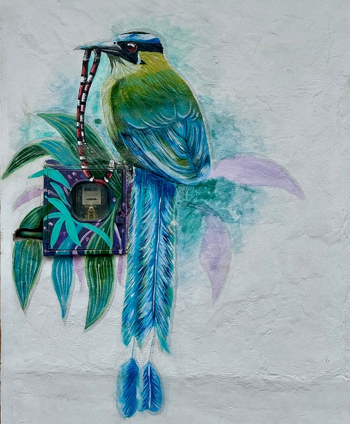 Pinturas de aves decorando los contadores eléctricos en San Agustín, Huila. Foto propia.
