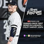 Bronx Pinstripes