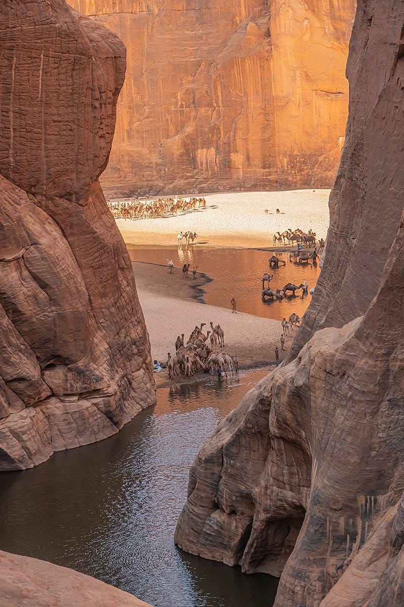 Guelta de Archei accediendo por el Este