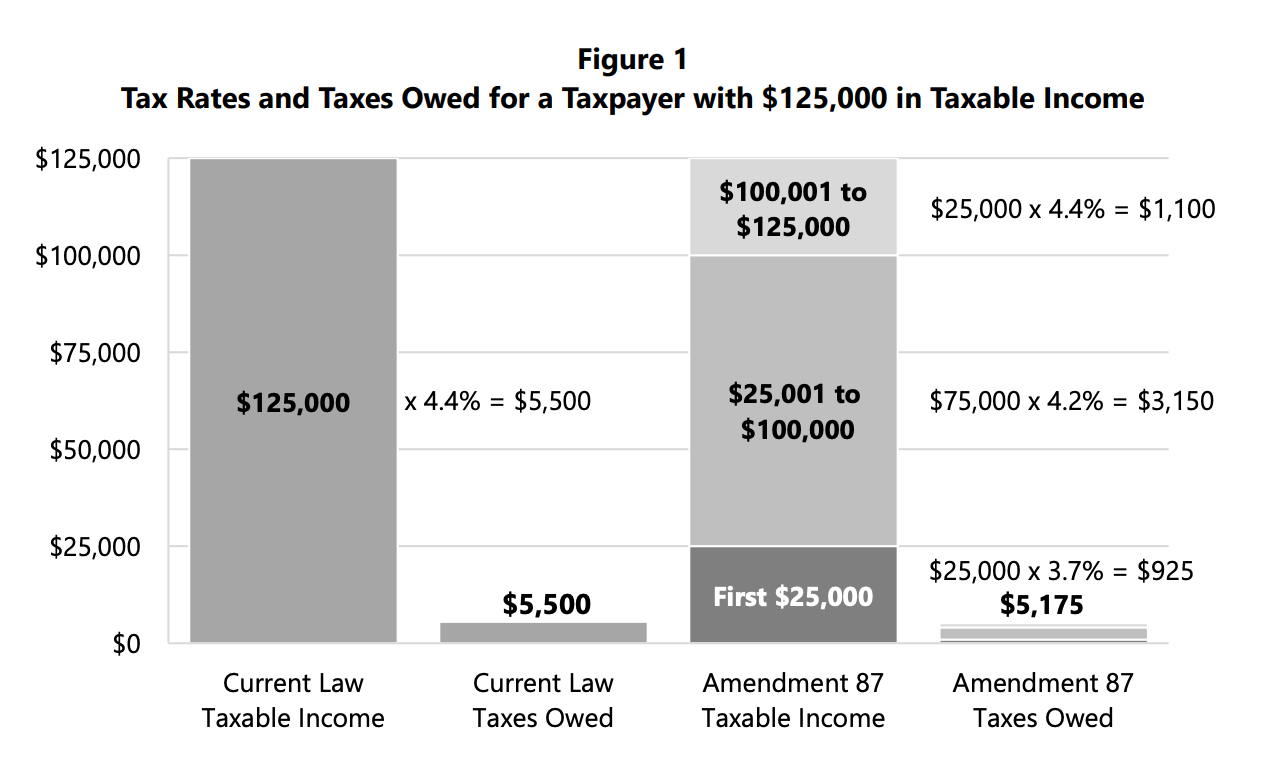 Graphic from the 2026 “blue book,” the state’s official voter guide Graphic from the 2026 “blue book,” the state’s official voter guide