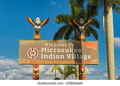 91 Miccosukee Tribe Royalty-Free Images, Stock Photos & Pictures |  Shutterstock