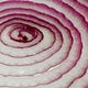 Red Onion Resources