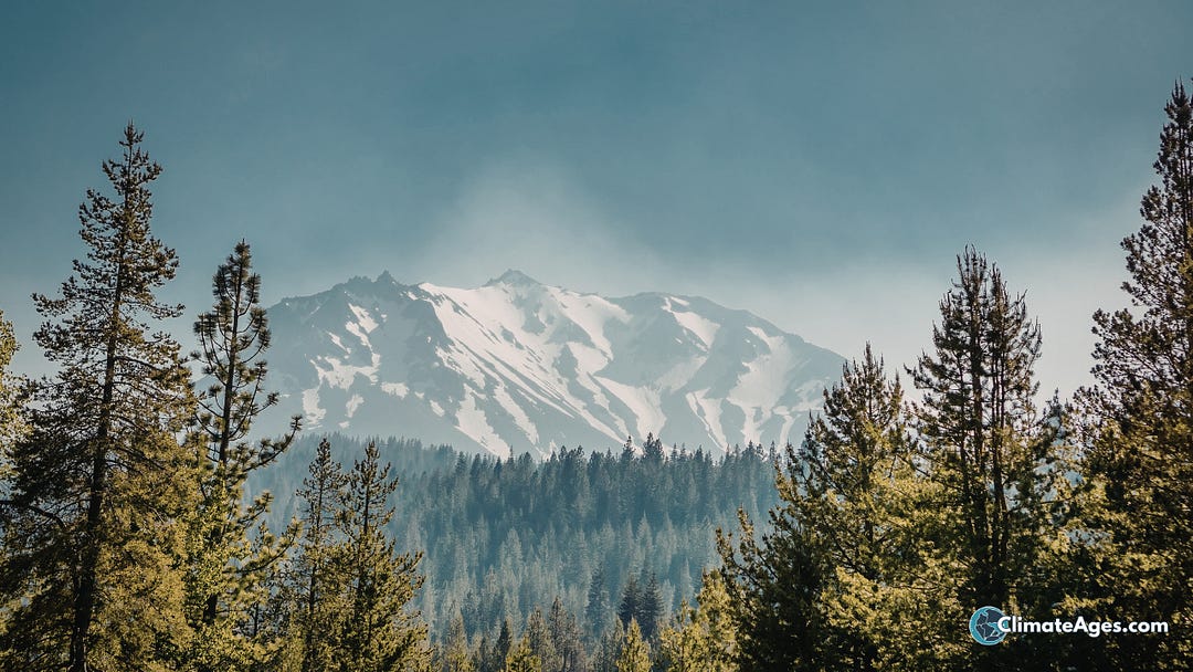 Snow-covered mountain rising above a dense pine forest under a hazy blue sky. Tall evergreen trees frame the foreground while sunlight filters across the forested slopes below the alpine peak. ClimateAges.com watermark visible in the bottom right corner.