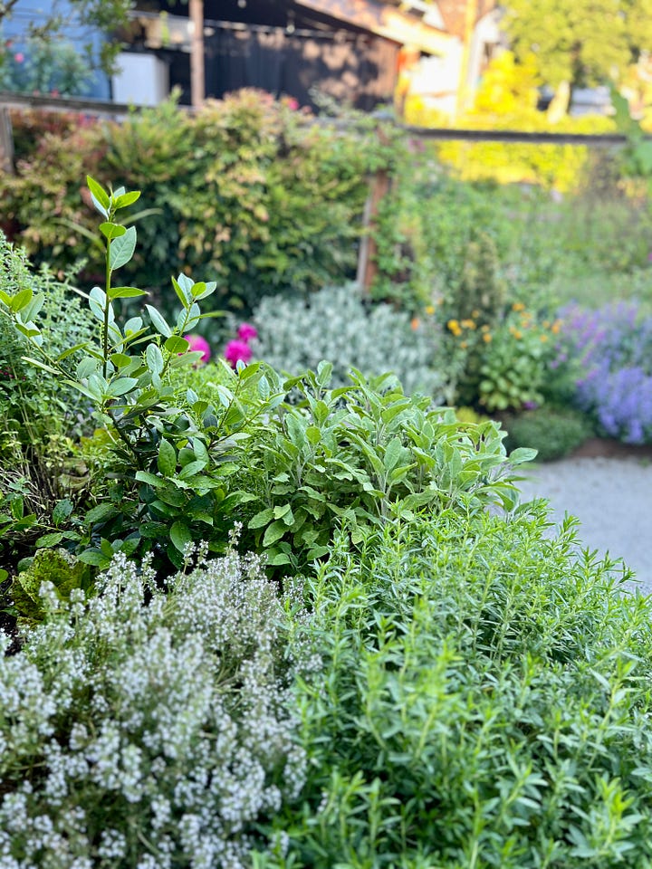 An herb garden and a cafe table grace Jen Pulcillo's small deck