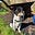 GraemeO's avatar