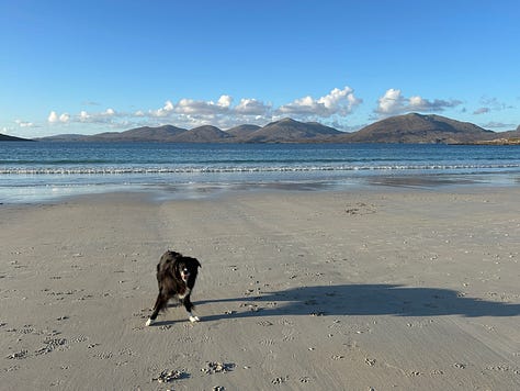 Photographs of Luskentyre Beach with Billy the Collie
