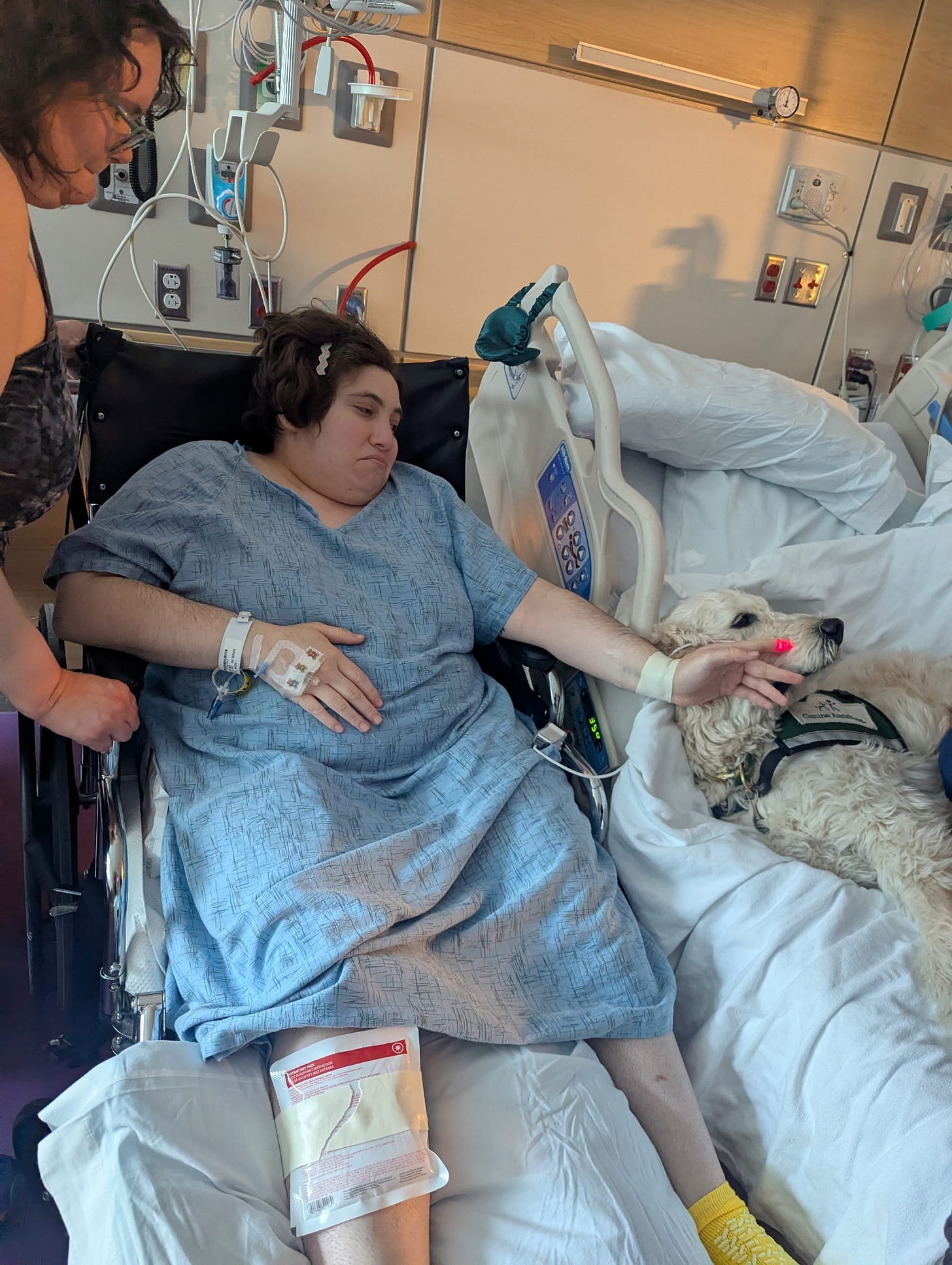 Petting a therapy dog that jumped in my bed, ever-present heating pad visible on my calf.