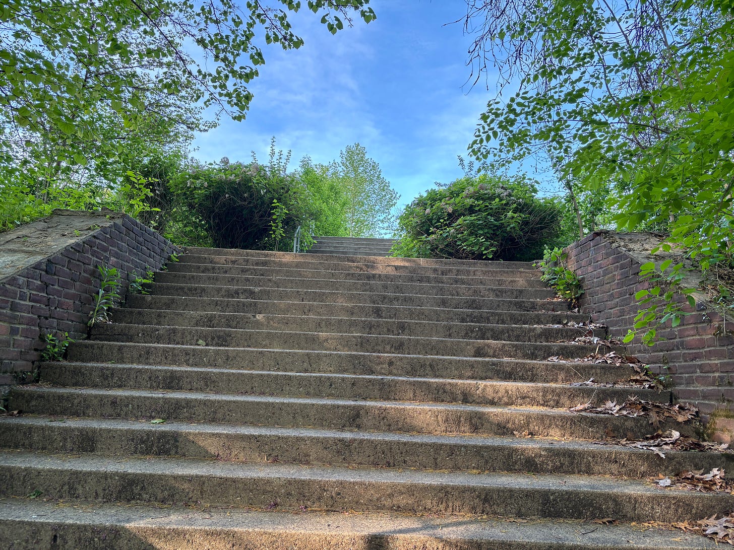 stairs walking towards green trees and a blue sky stairs walking towards green trees and a blue sky
