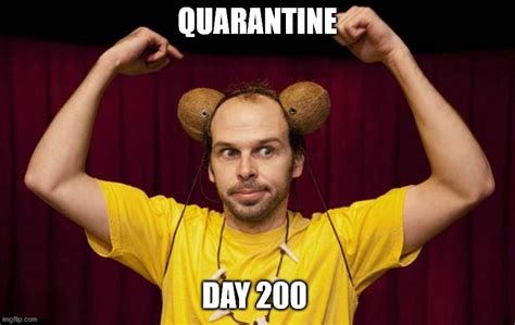 Quarantine - Imgflip Quarantine - Imgflip