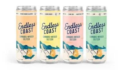 Endless Coast