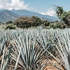 June 2nd, 2025: Tequila, Cognac and other stories 