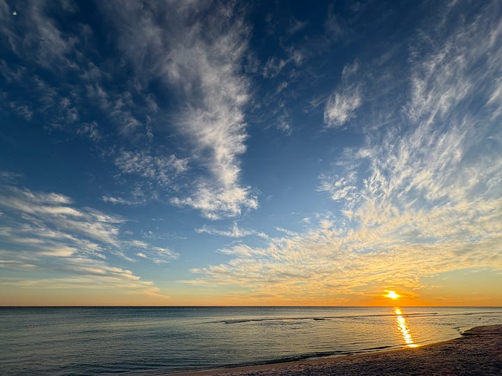 Ocean sunset, mountain flowers, fall leaves, crocus blooming