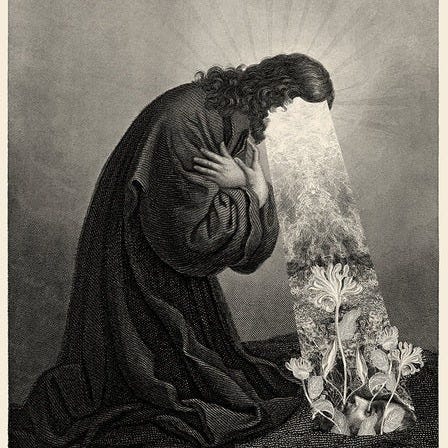 Jordan Murphy Bishop