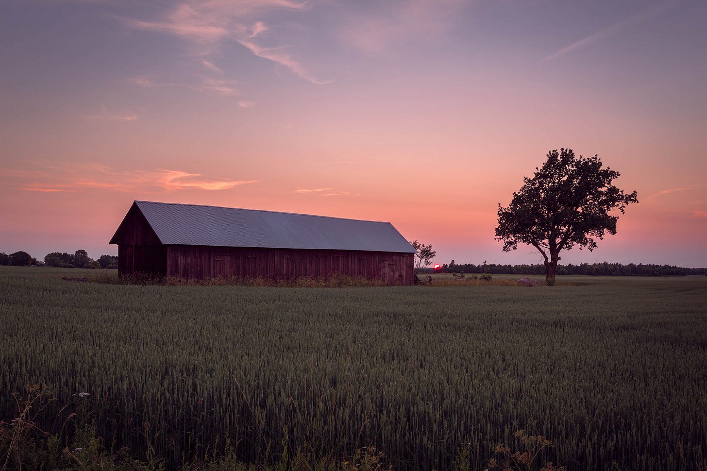 Field