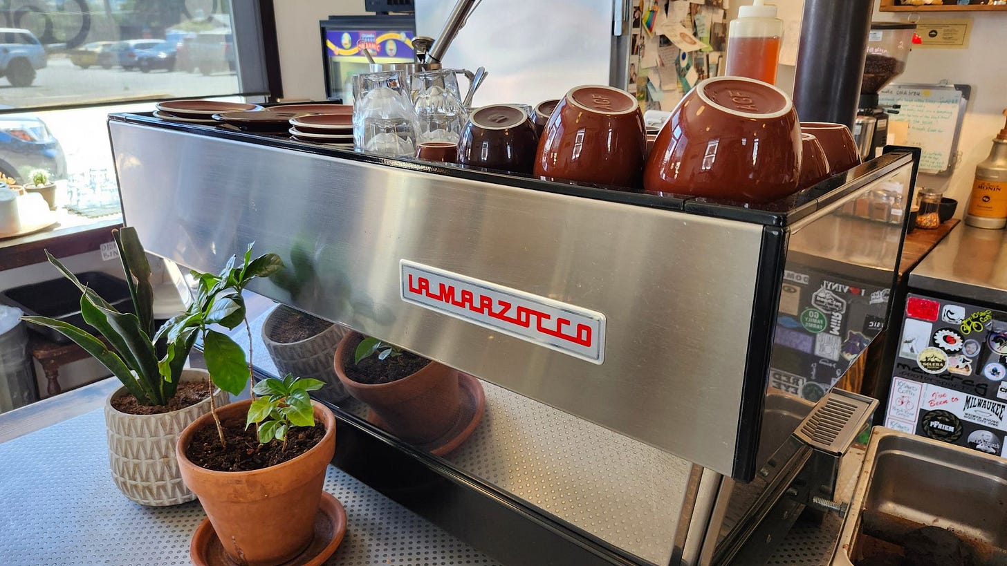 A stainless steel La Marzocco espresso machine with two potted indoor plants in front of it anchors the end of a cafe's coffee bar. Brown ceramic cups and saucers are stacked on top.