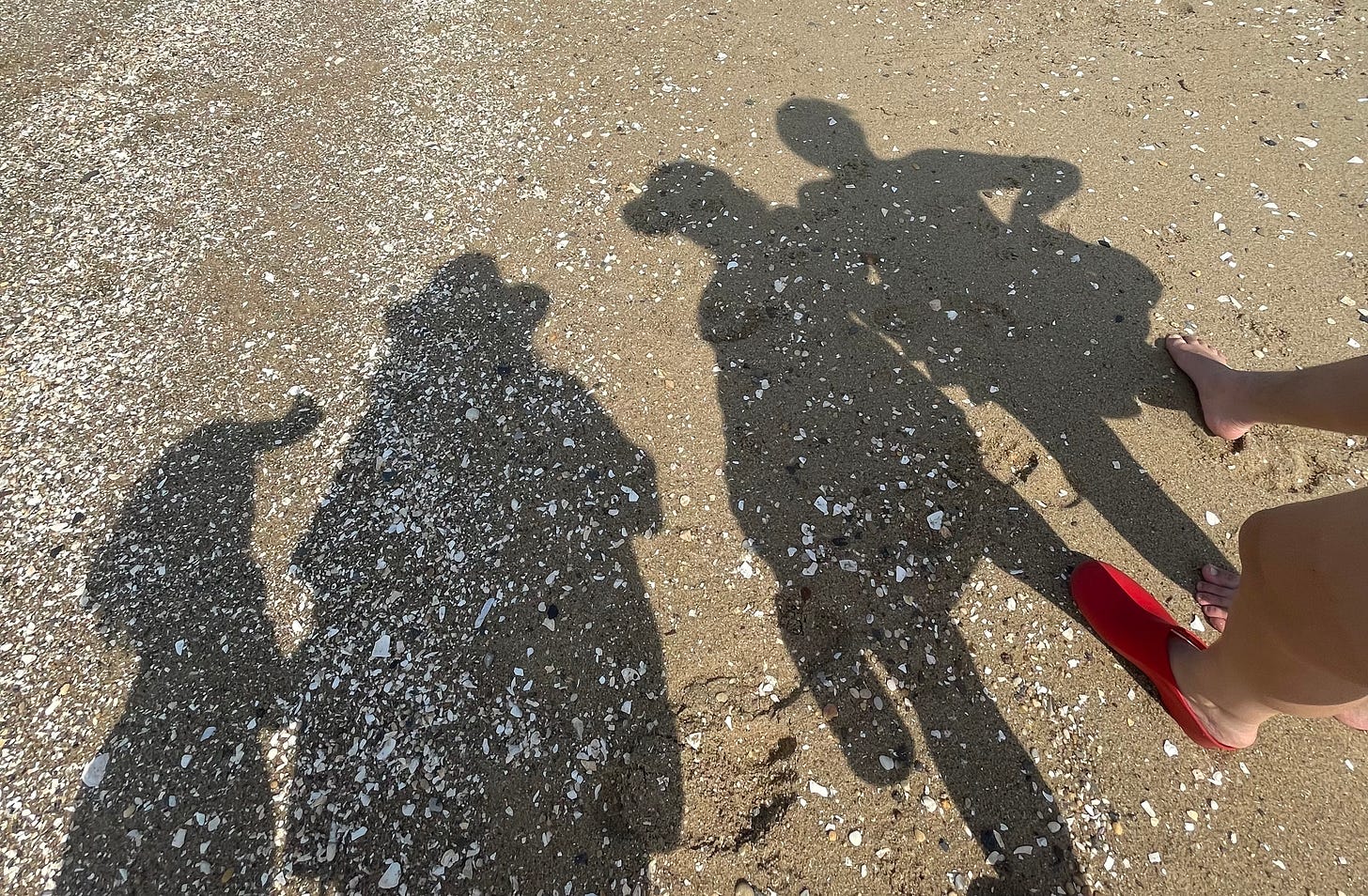 Aransas Savas Lia De Feo Uplifters