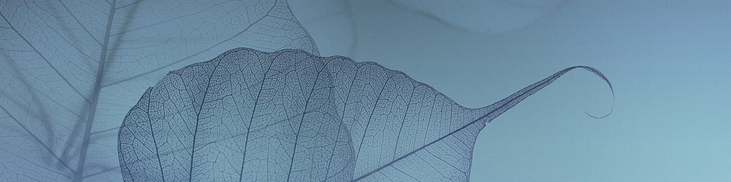 emergence - Emergence