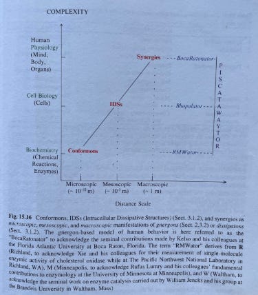 A paper with text and a diagram

AI-generated content may be incorrect.
