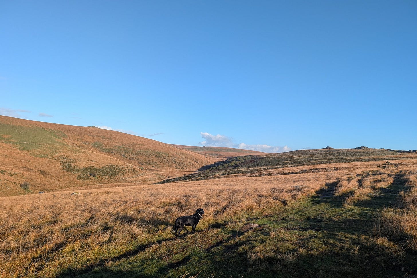 Dartmoor, the morning of 22 October 2026, hours before Storm Austen