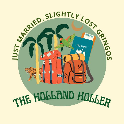 Artwork for Just Married, Slightly Lost Gringos