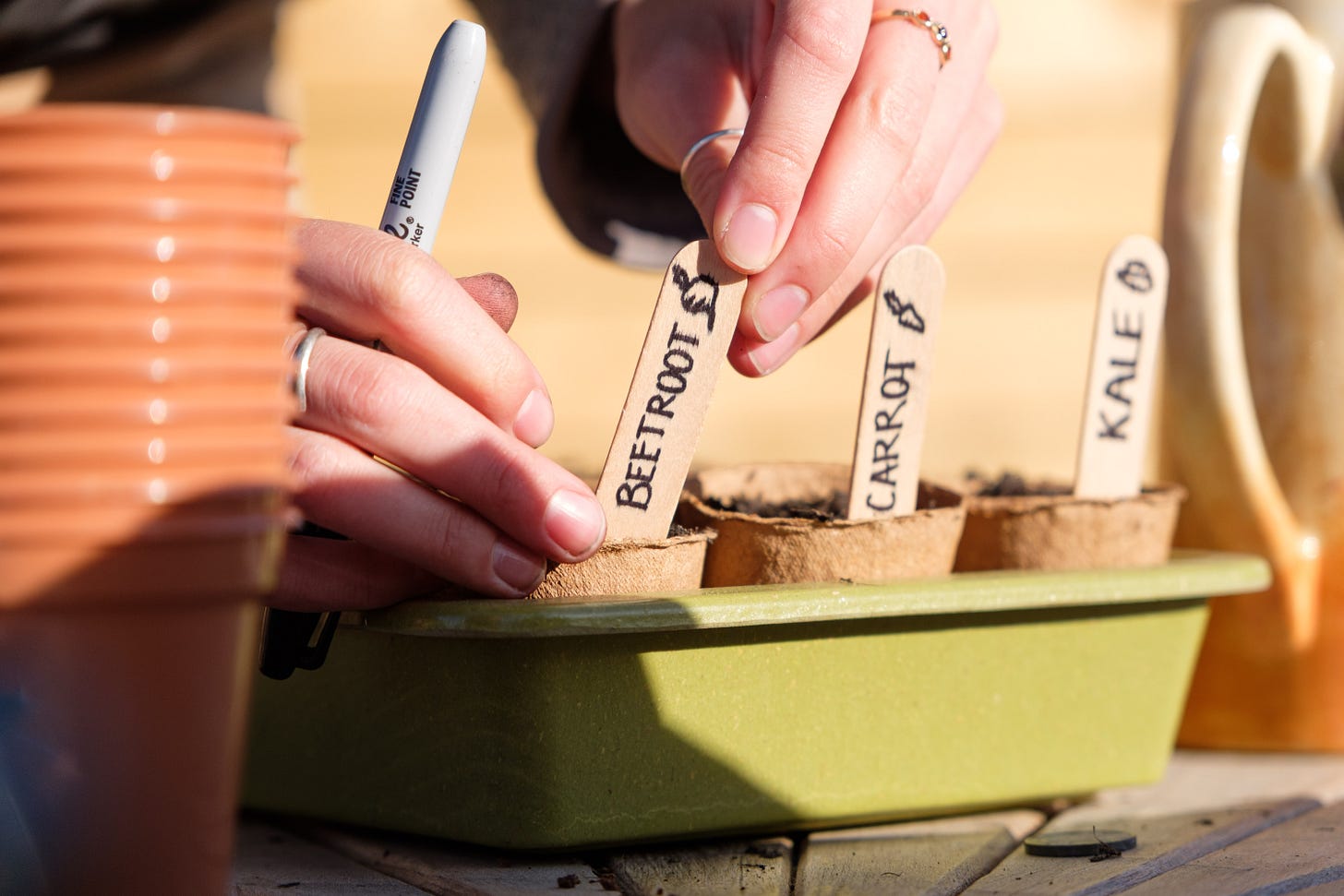 Close-up of a person’s hands placing name tags beside freshly planted seedlings in a sunlit garden, with warm golden light illuminating the scene.