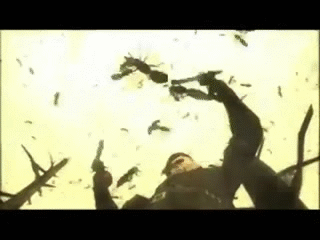 Ocelot gun spinning IRL. Bees on Make a GIF