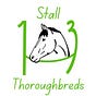 Stall 13's avatar